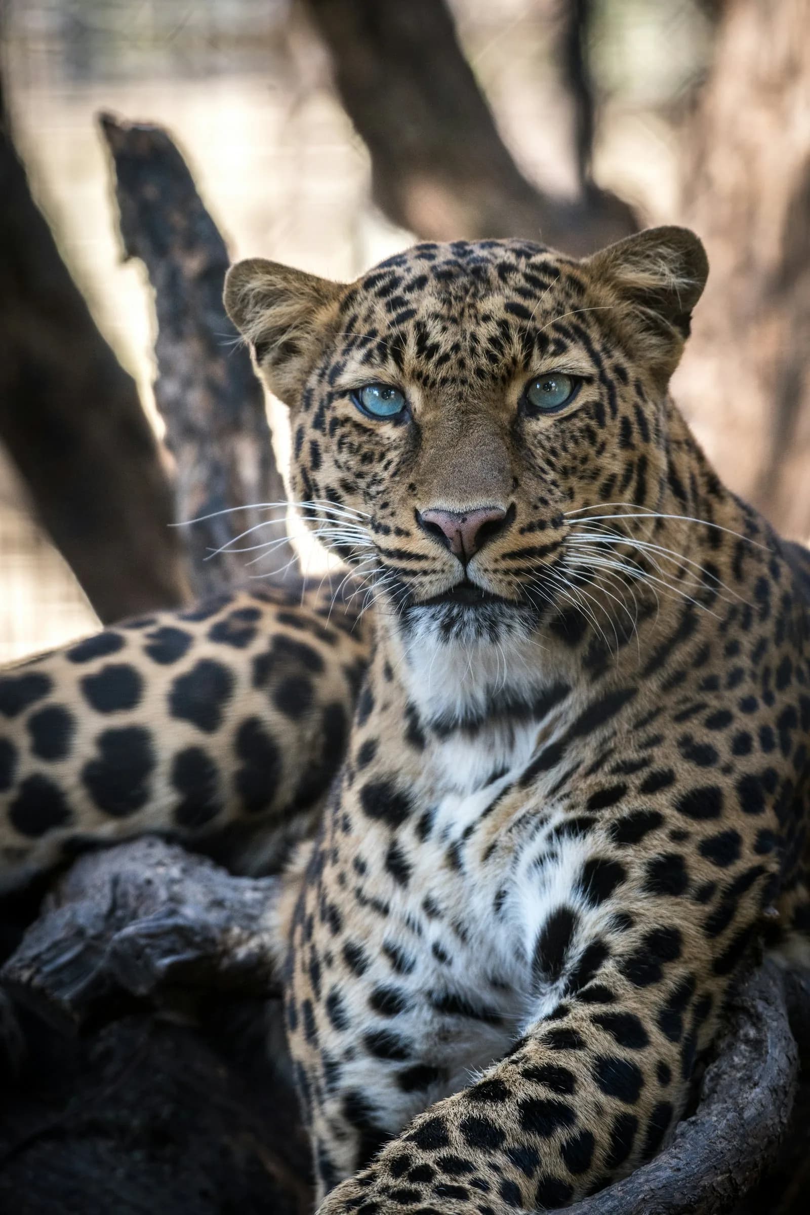 Wild Sri Lanka Adventure