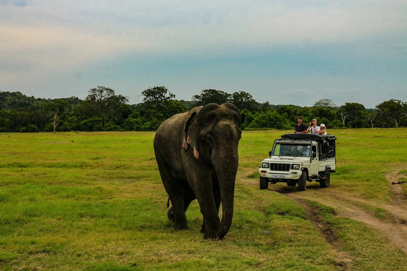 Wild Sri Lanka Adventure