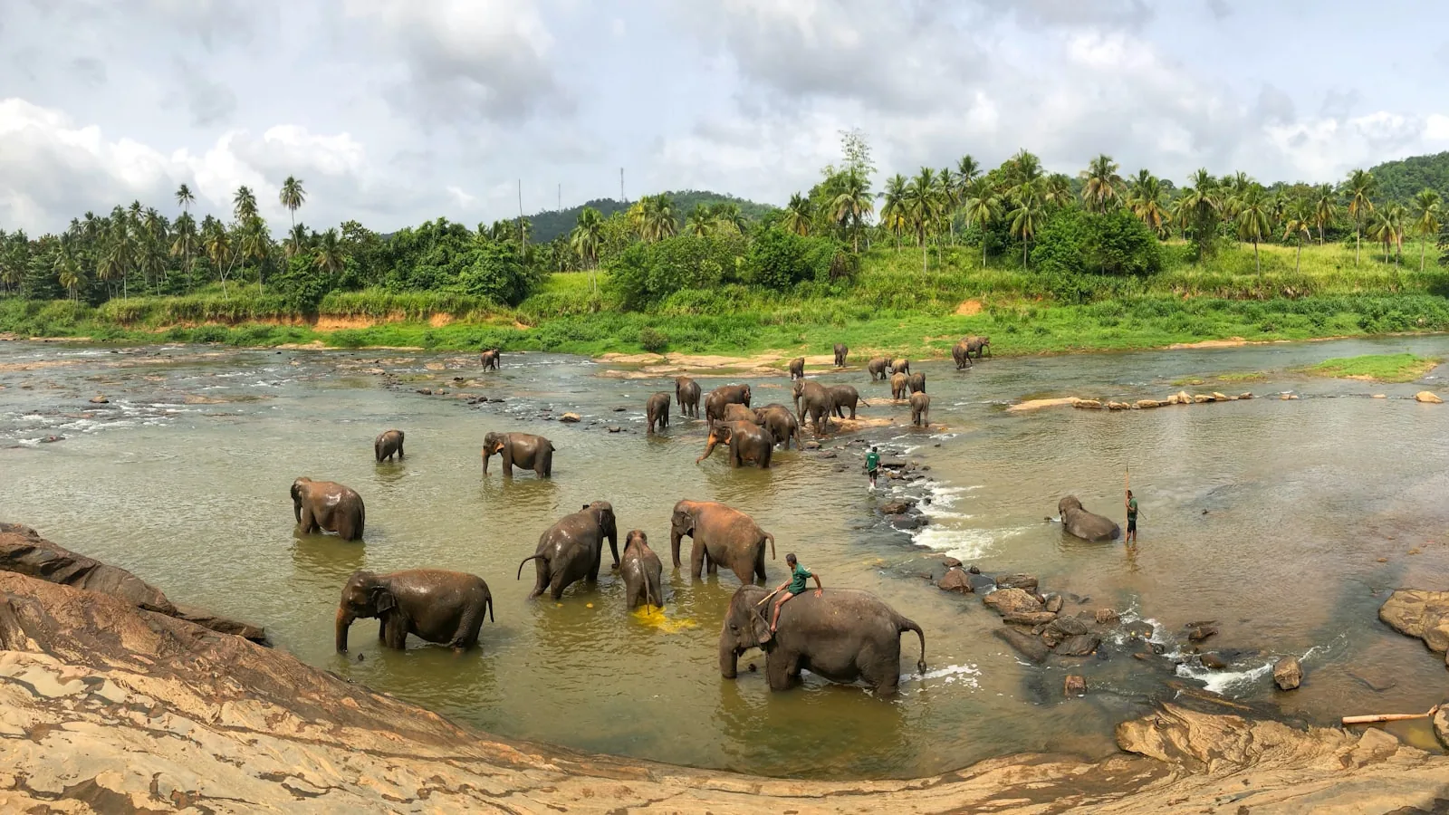 Nature & Wildlife experience in Sri Lanka