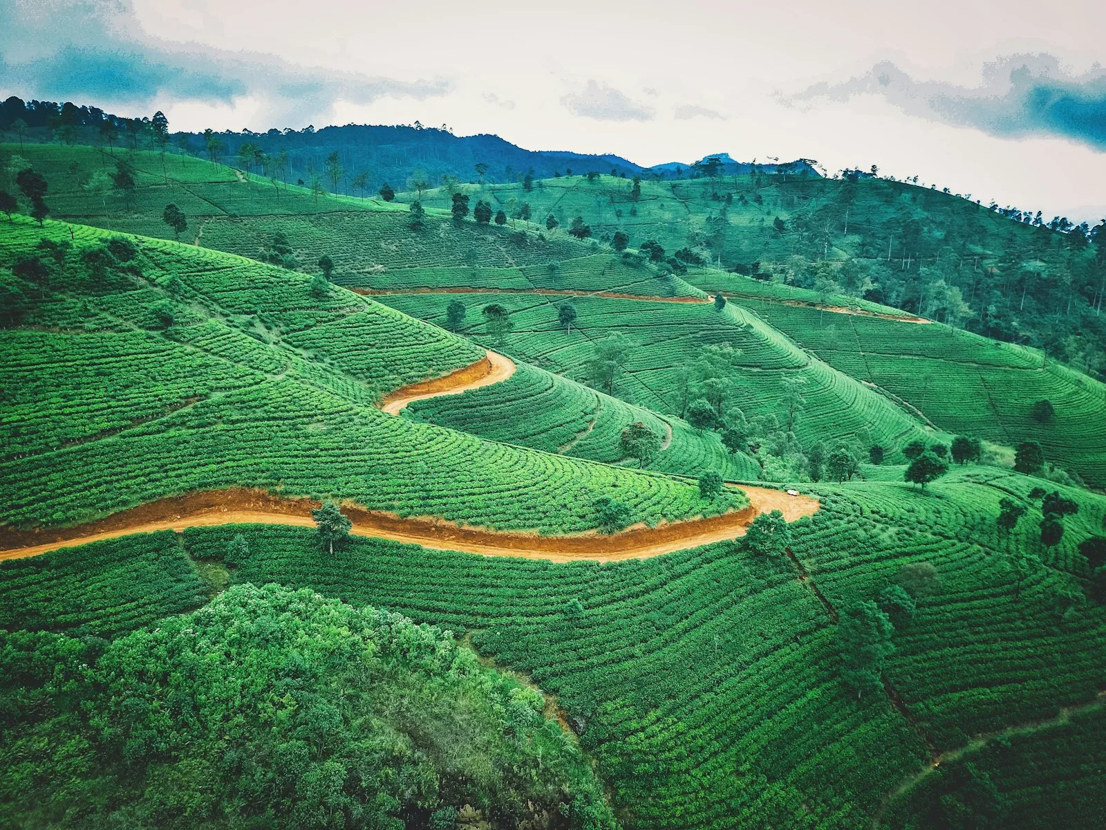 Food & Local Life experience in Sri Lanka
