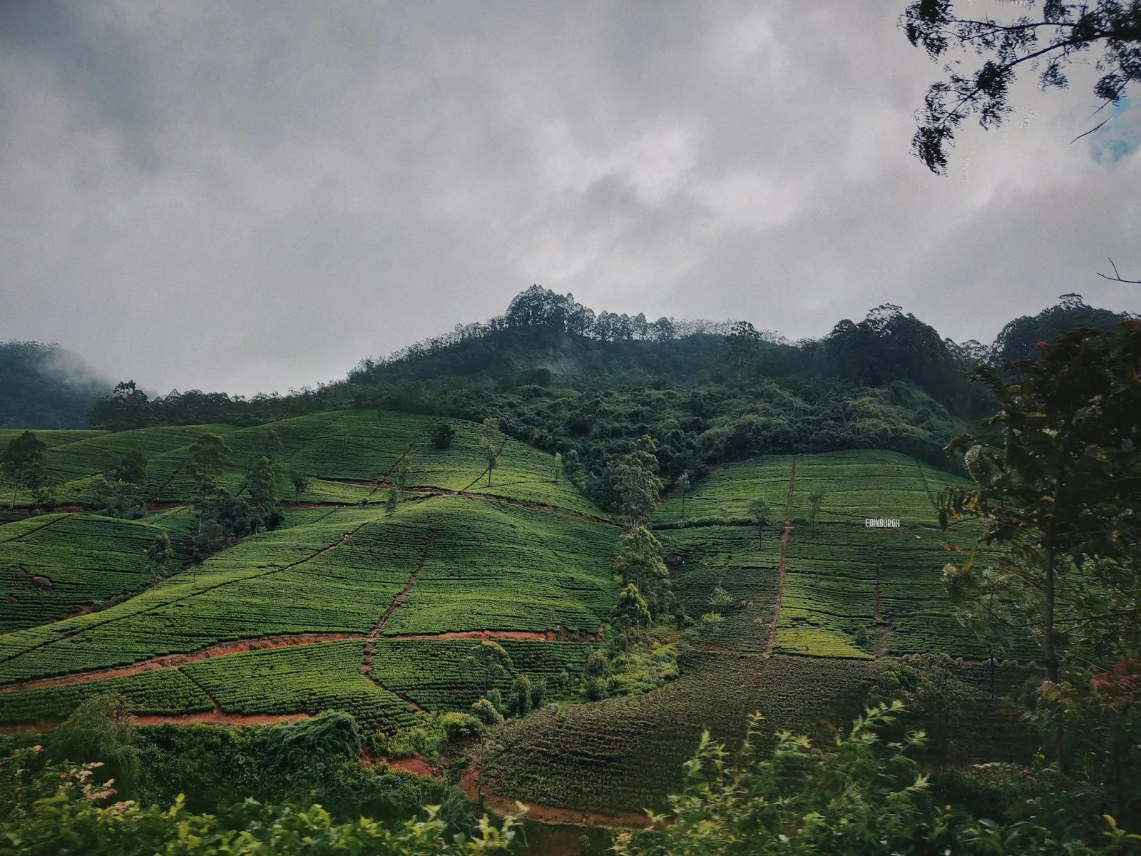 Food & Local Life experience in Sri Lanka