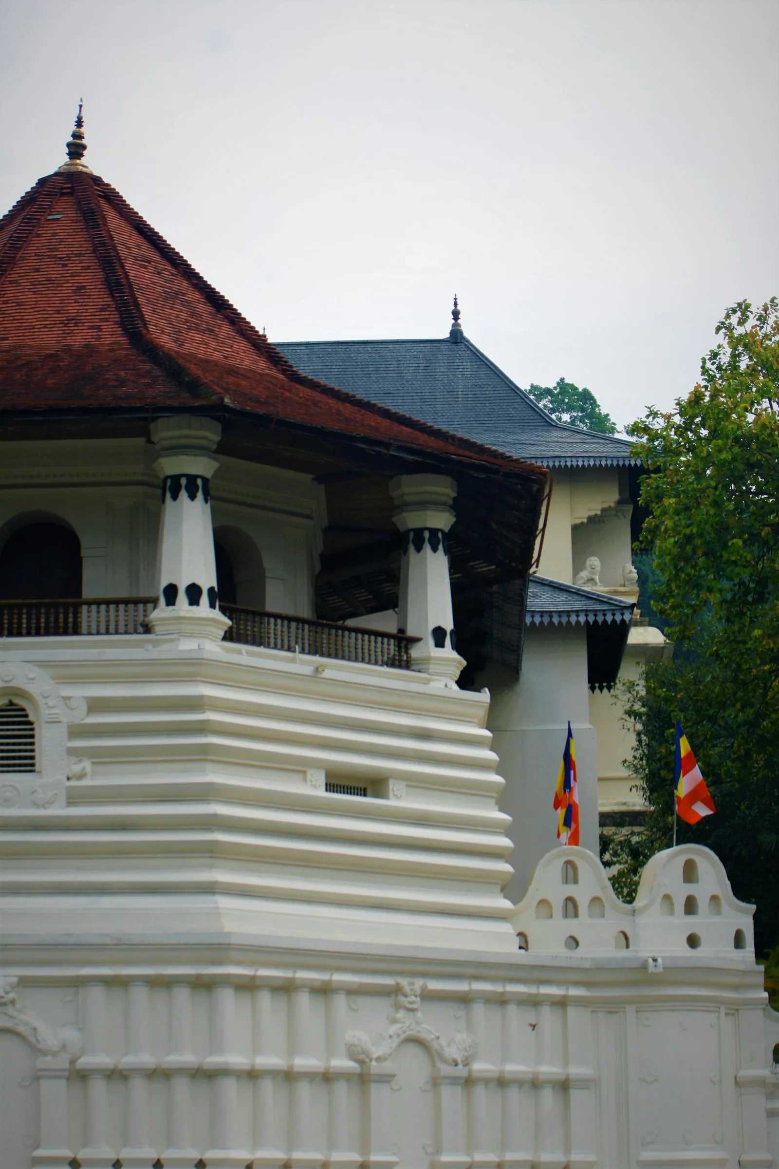 Culture & Heritage experience in Sri Lanka